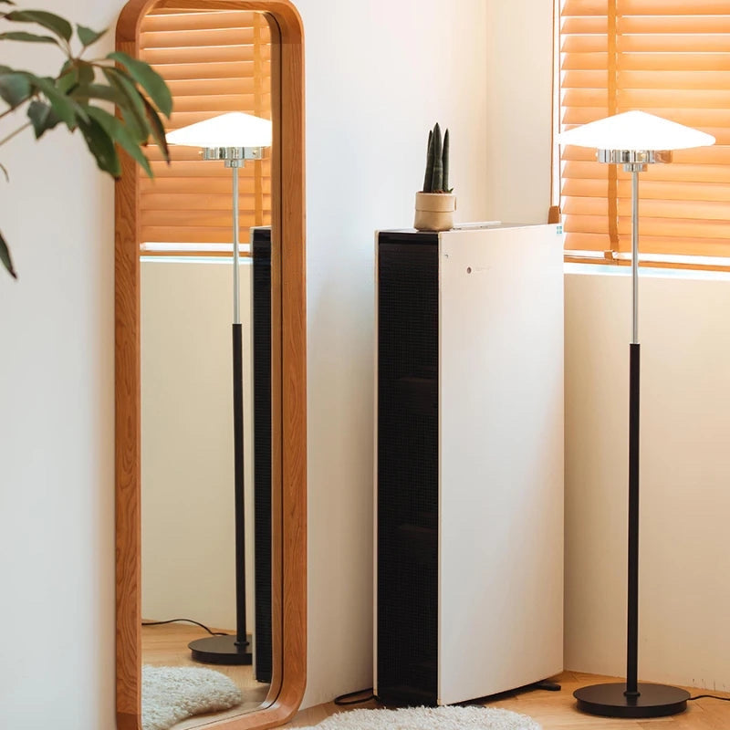 Okemia Mirror Nisu Home